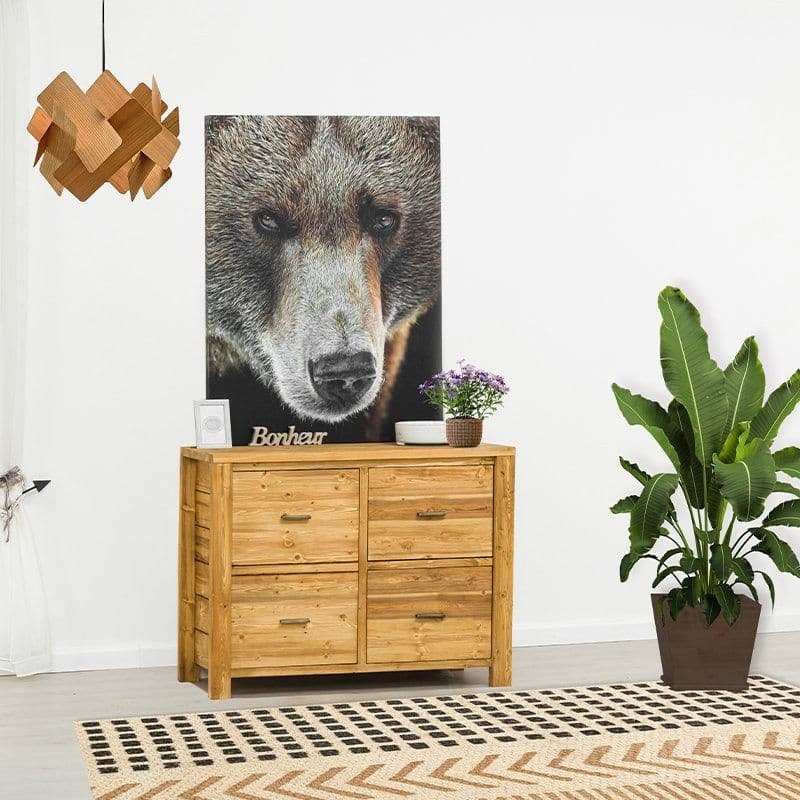 Comoda cu 1 usa si 2 sertare Colibri, Lemn masiv rustic, 110 x 46 x 85 cm